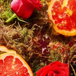 ROJA London A Midsummer Dream Eau de Parfum 100ml Outlet