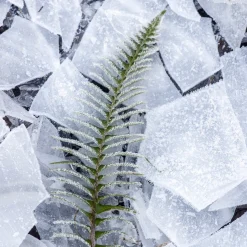 Maison Crivelli Absinthe Boréale Eau de Parfum 100ml Discount