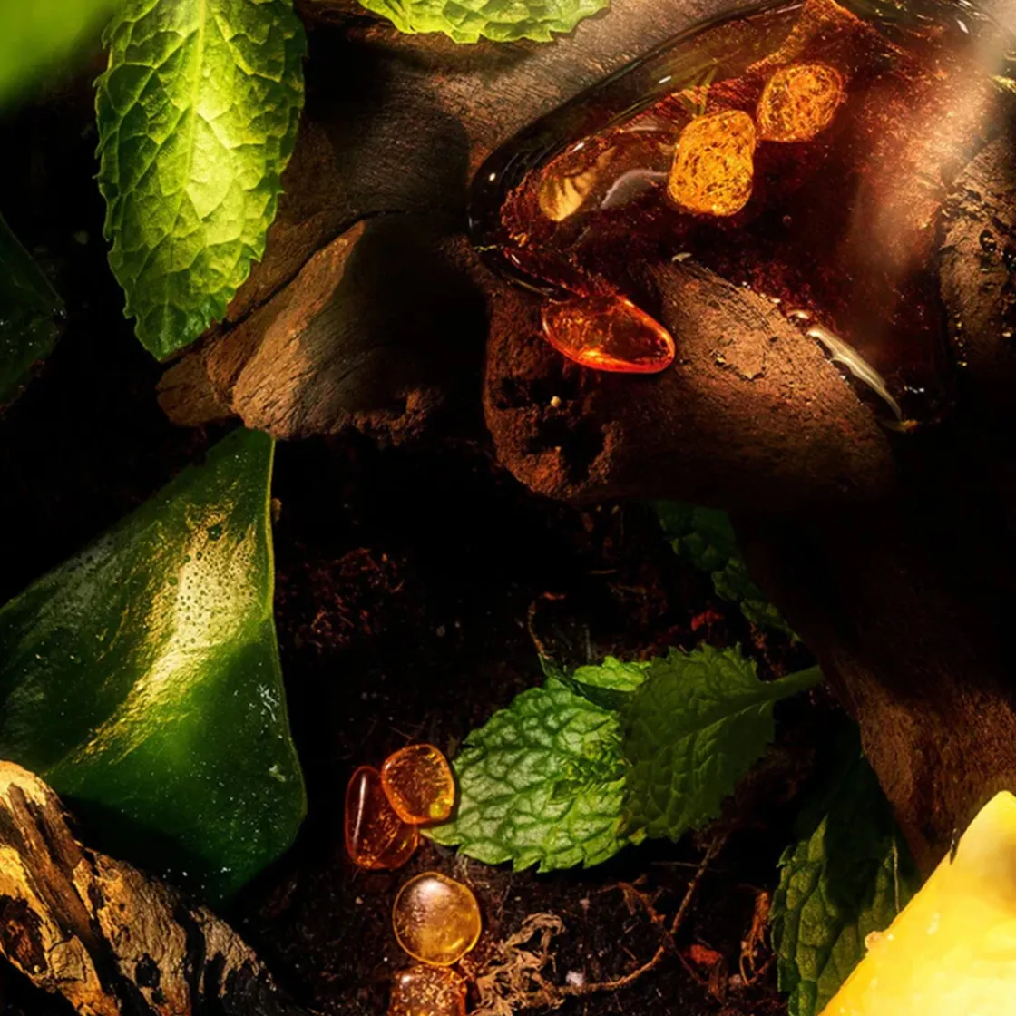 ROJA London Apex Eau Intense Eau de Parfum 100ml Best