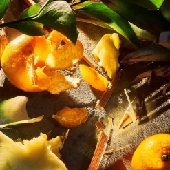 ROJA London Apex Pour Homme Parfum 50ml Best