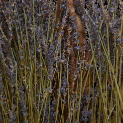 Veronique Gabai Aroma Eau de Parfum - Soul 10ml Sale