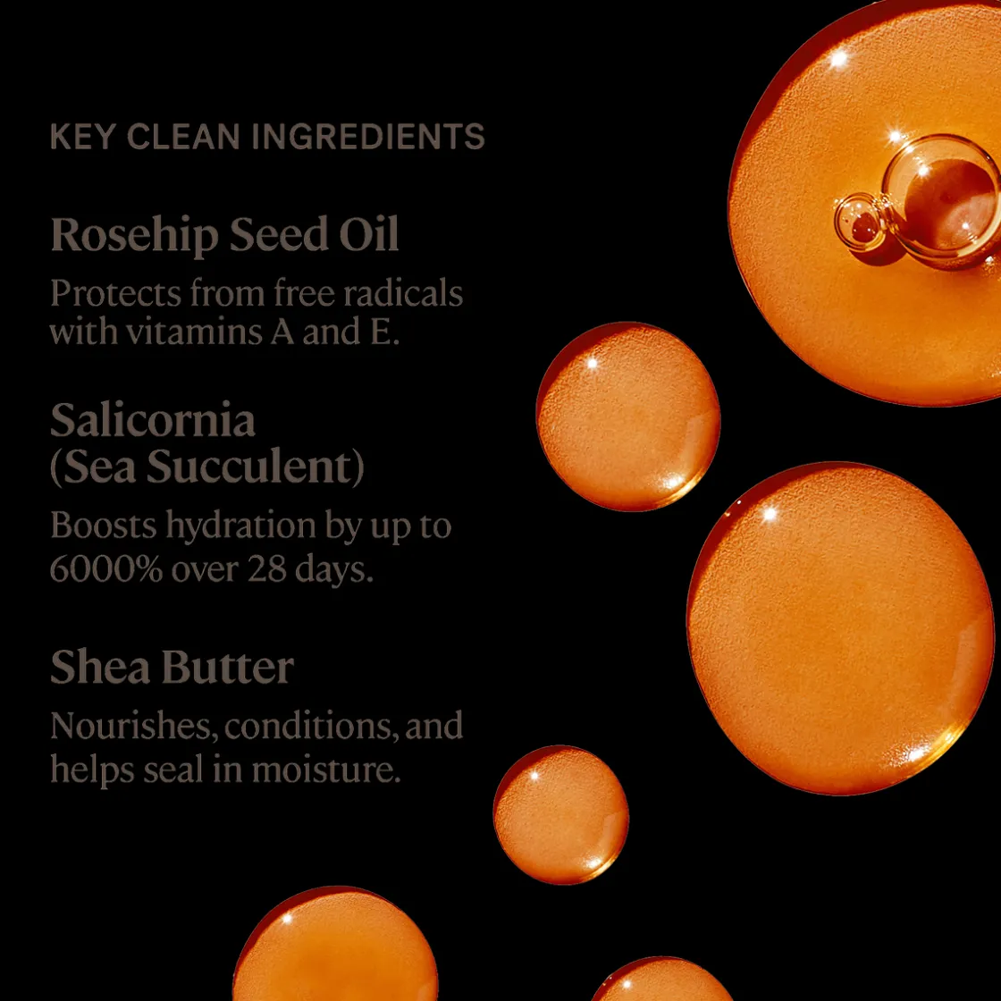 Ilia Balmy Tint Hydrating Lip Balm Wanderlust Clearance