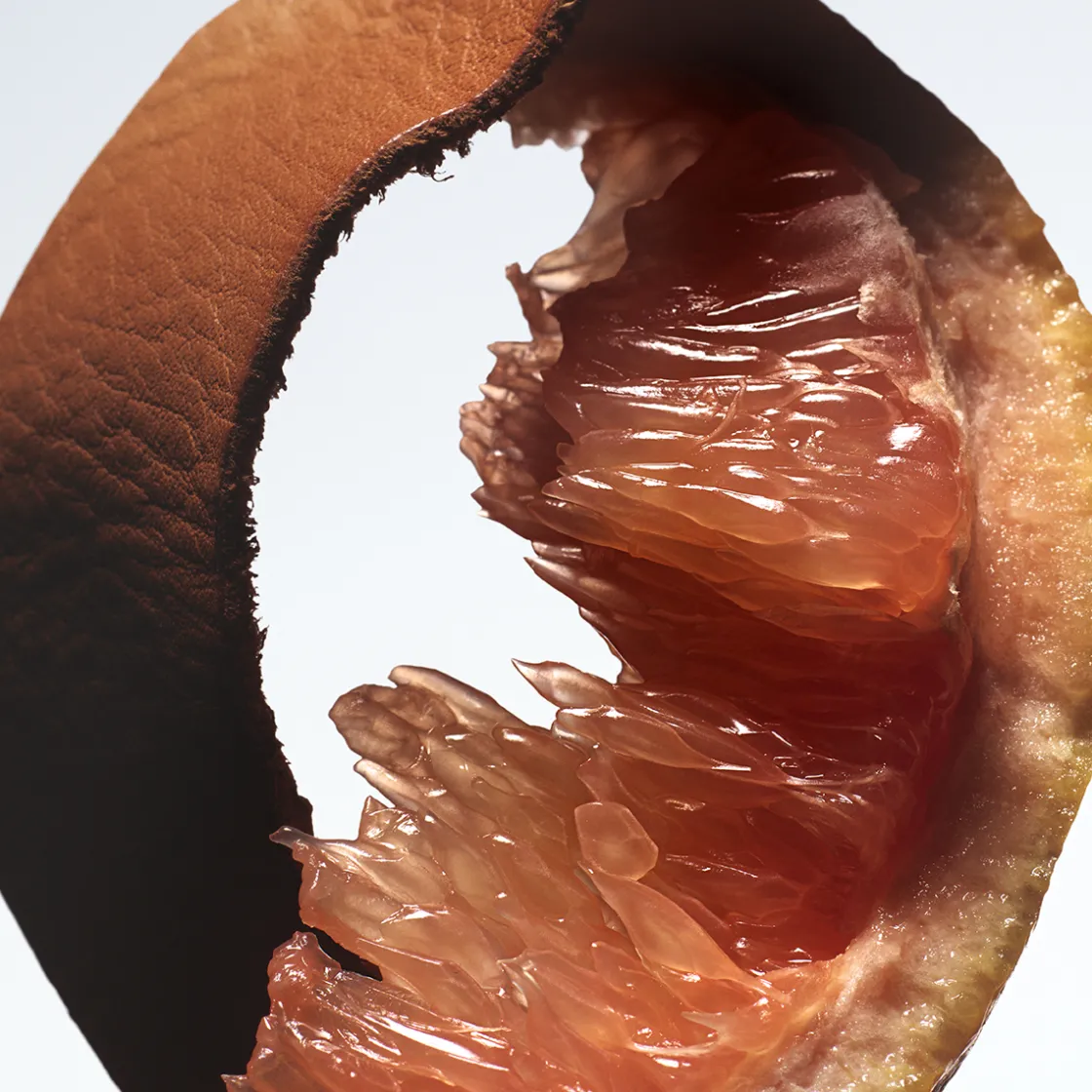 Dries Van Noten Bitter Splash Eau de Parfum 100ml Clearance