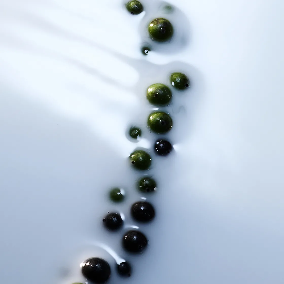 Byredo Blanche Absolu Eau de Parfum 100ml Outlet