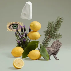 Penhaligon's Blenheim Bouquet Eau de Toilette 100ml Best