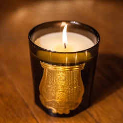 Trudon Bougie Ernesto 270gr Outlet