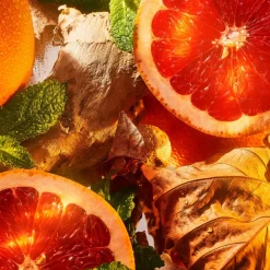 ROJA London Burlington 1819 Eau de Parfum 100ml Best