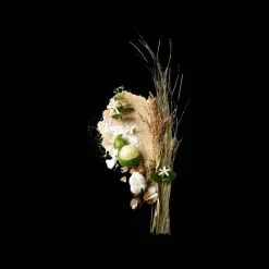 Corpus California Deodorant 75gr Sale