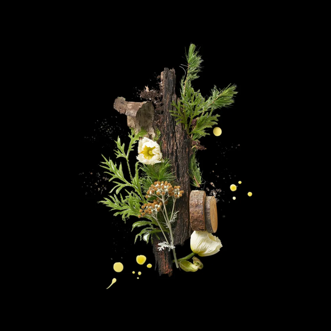 Corpus Cedar Flora 75gr