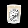 Diptyque Coriandre Scented Candle 190gr Best