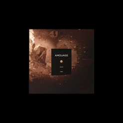 Amouage Dia Man Eau de Parfum 100ml Clearance