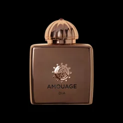 Amouage Dia Woman Eau de Parfum 100ml Outlet