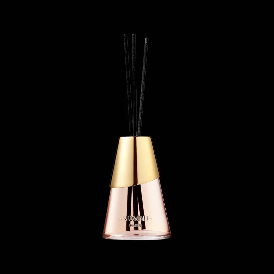 Anomalia Paris Diffuser Leather Bookbinding 200ml