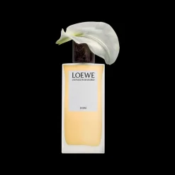 LOEWE Dore Eau de Parfum 100ml Online