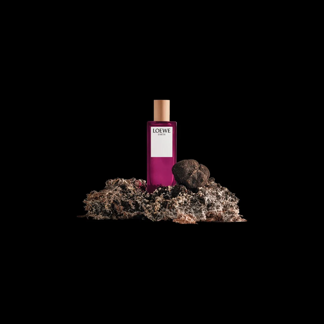LOEWE Earth Eau de Parfum 100ml Clearance