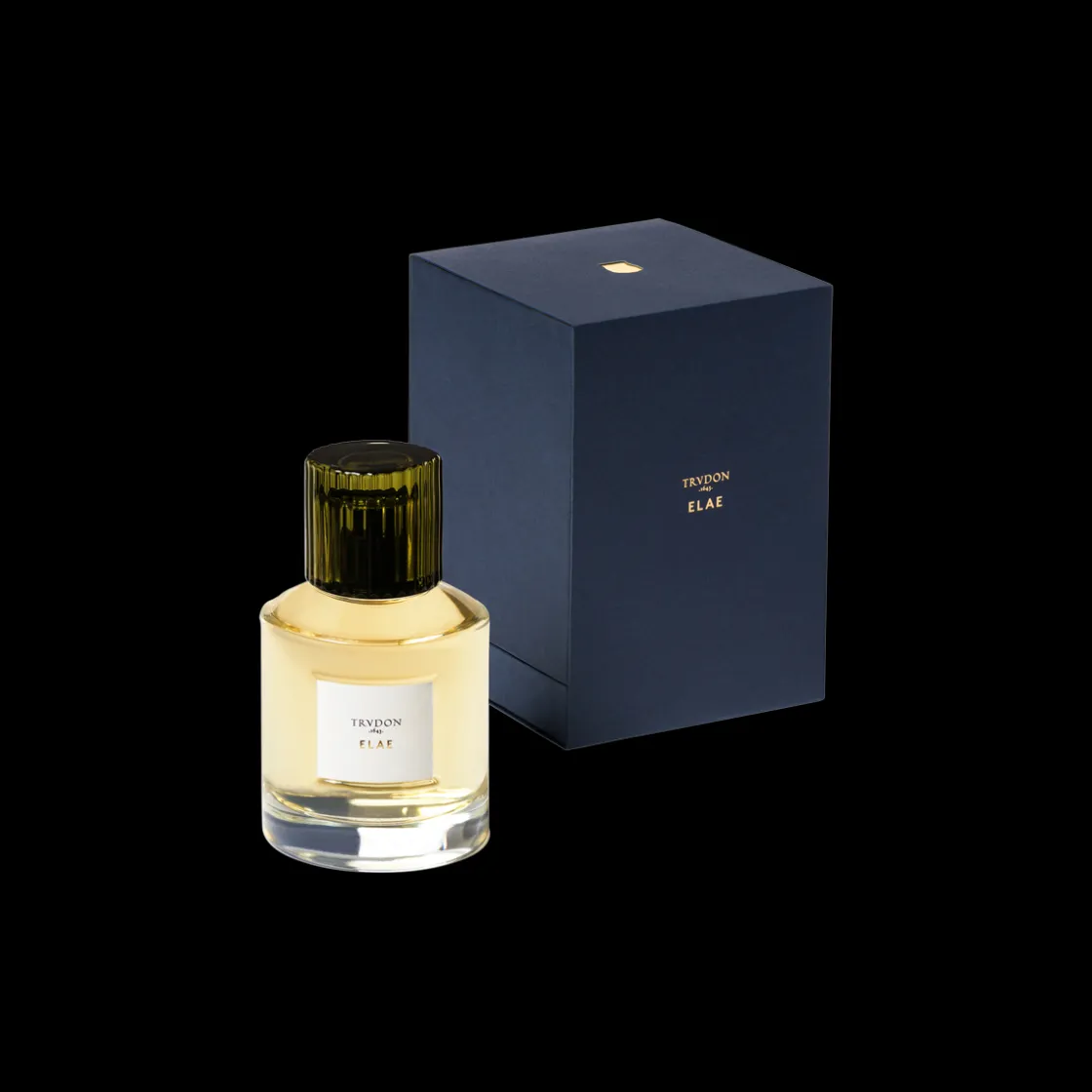 Trudon Elae Eau de Parfum 100ml Sale