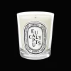 Diptyque Eucalyptus Scented Candle 190gr Best