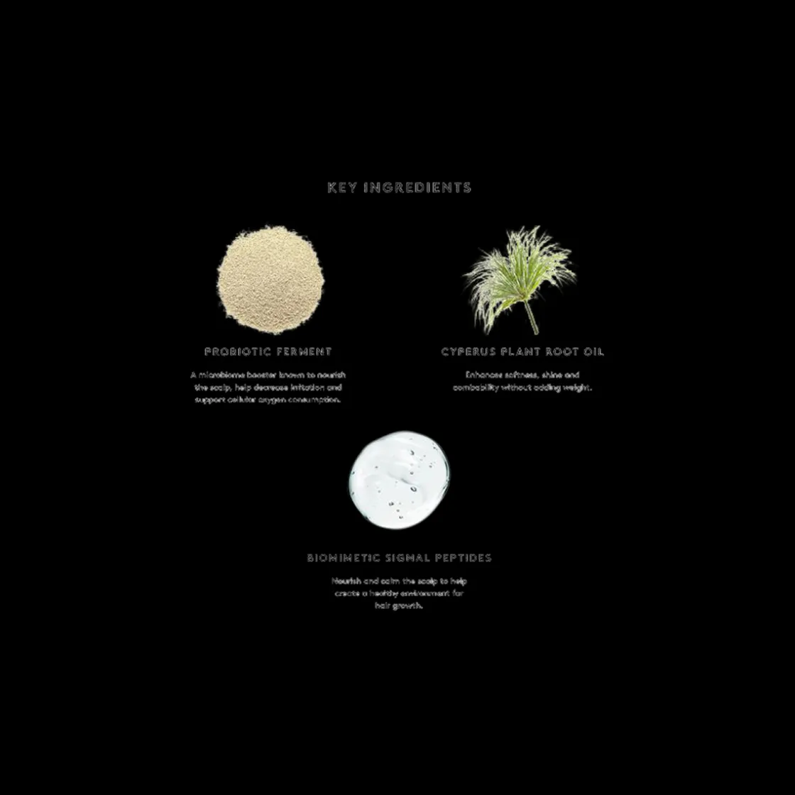 Virtue Flourish Conditioner 200ml Discount