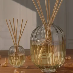 Diptyque Glass Vessel Diffuser 100ml Sale