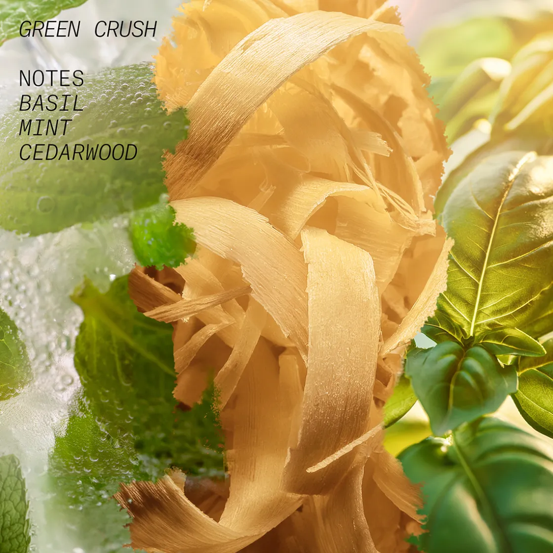 L’atelier Parfum Green Crush Eau de Parfum 100ml