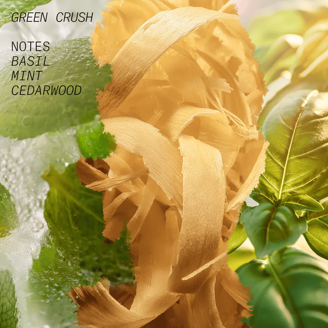 L’atelier Parfum Hair & Body Mist Green Crush 50ml Clearance