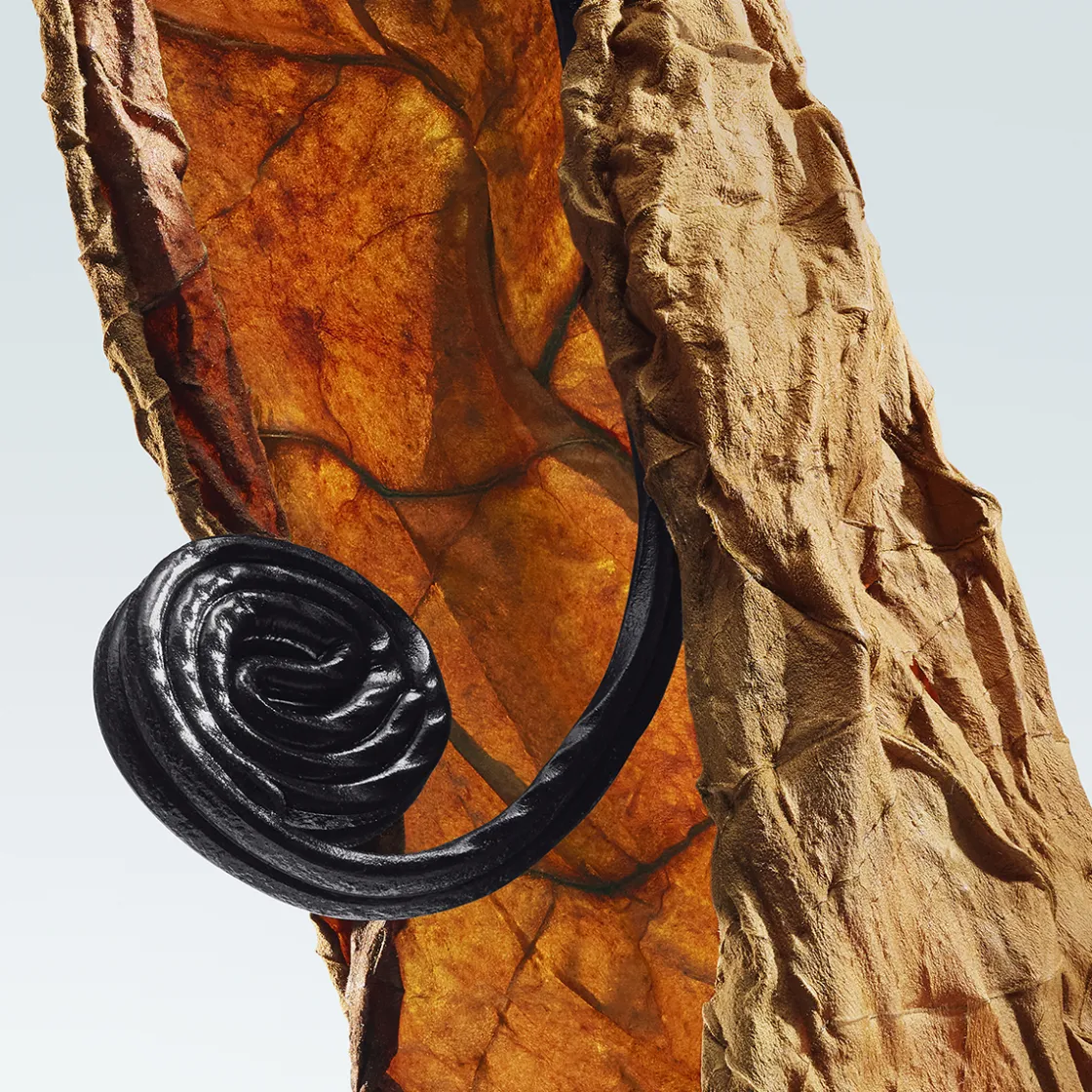 Dries Van Noten Havana Gold Eau de Parfum 100ml New