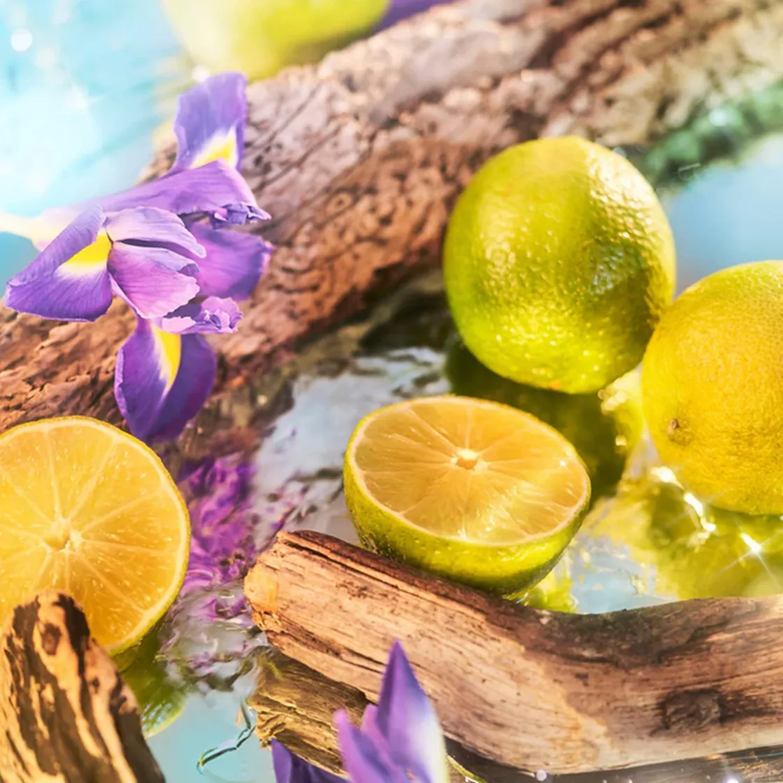 ROJA London Oceania Parfum 50ml Hot