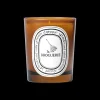 Diptyque Odor Removing Scented Candle 190gr Sale