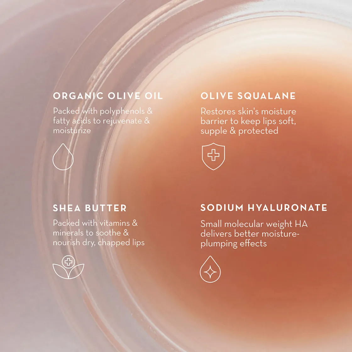 Furtuna Skin Olive Lip Butter Balm 8ml Outlet