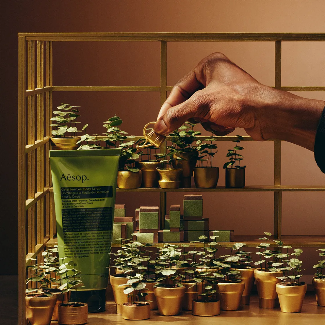 Aesop Party in the Greenhouse Best