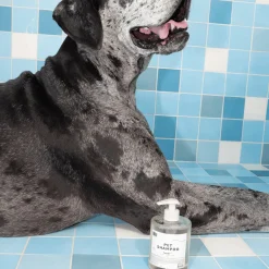 DEDCOOL Pet Shampoo 01 Taunt 500ml Outlet