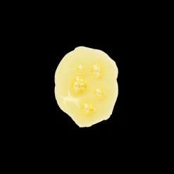 Le Prunier Plum Beauty Oil 30ml Clearance