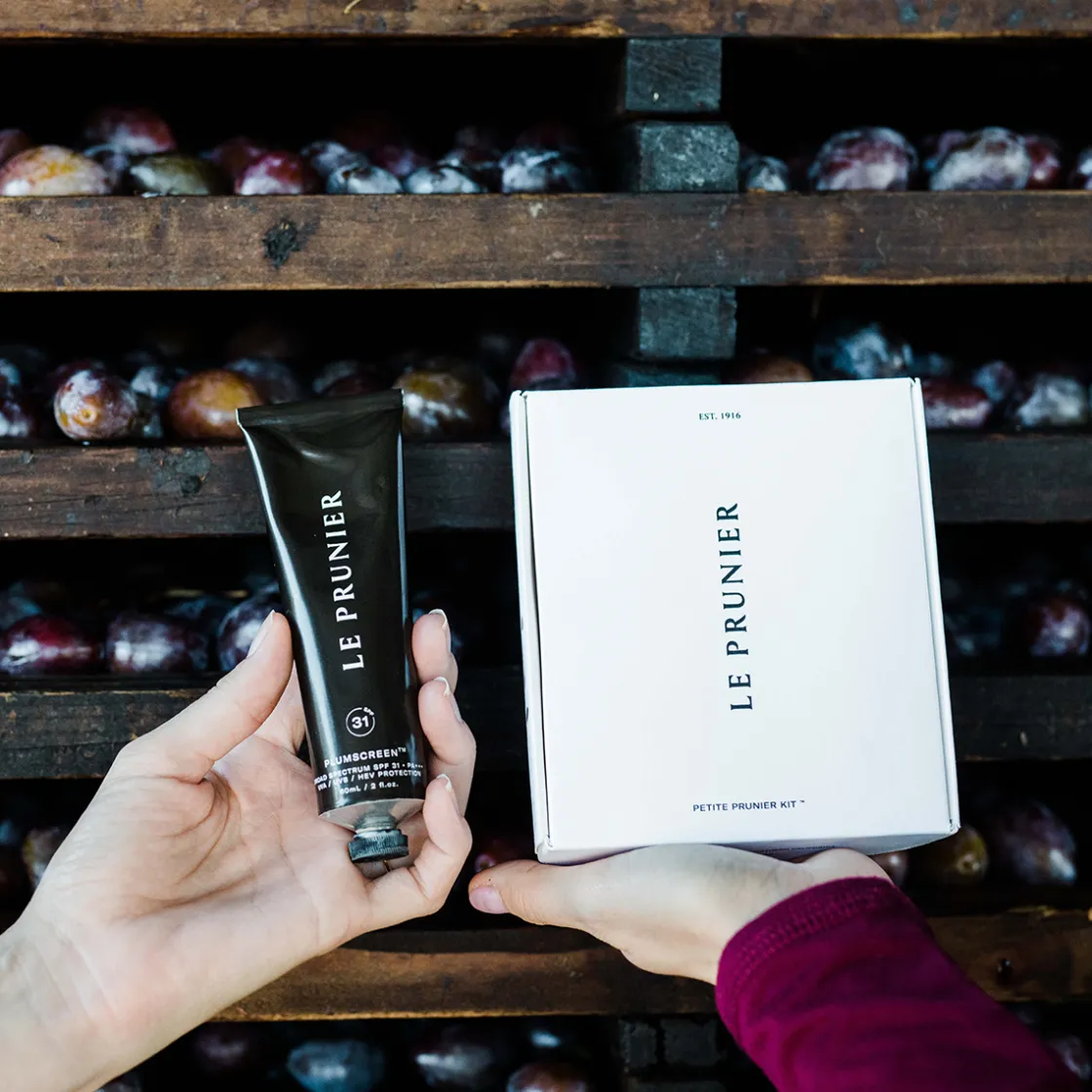 Le Prunier Plumscreen 60ml Sale