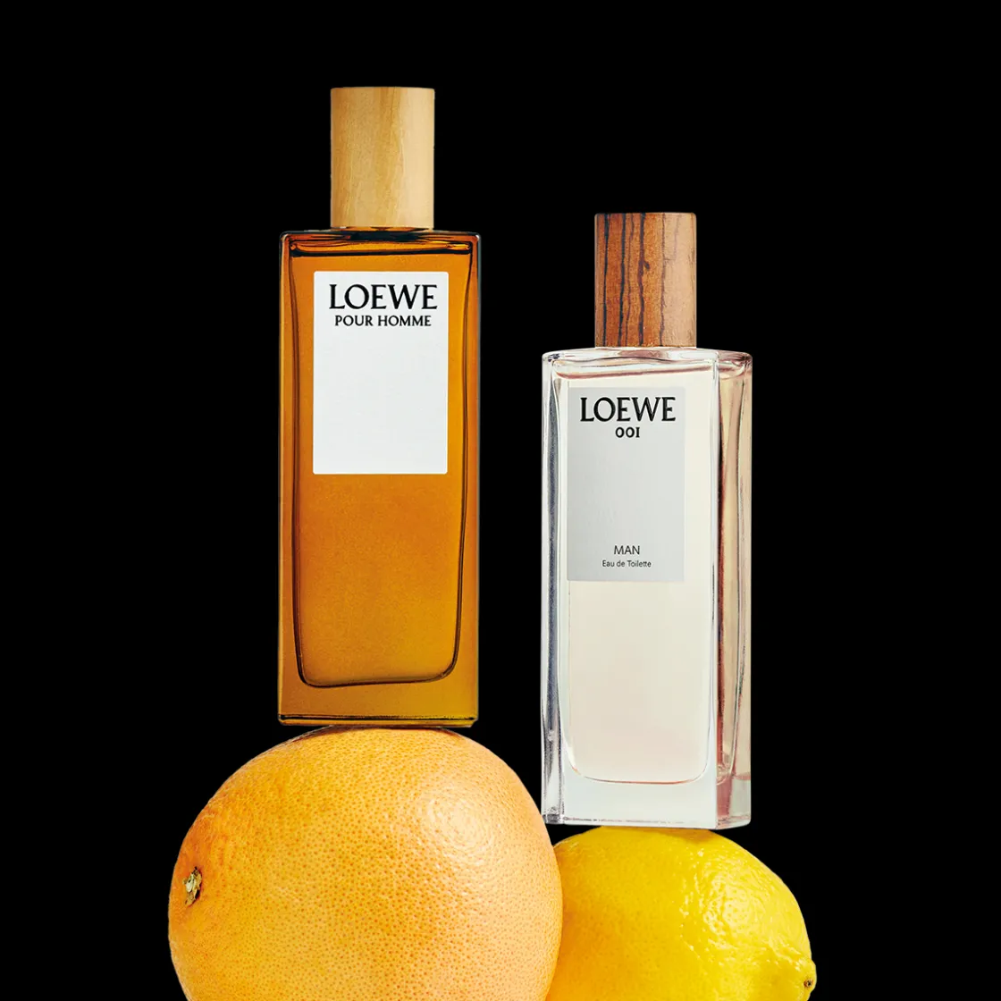 LOEWE Pour Homme Eau de Toilette 100ml Online