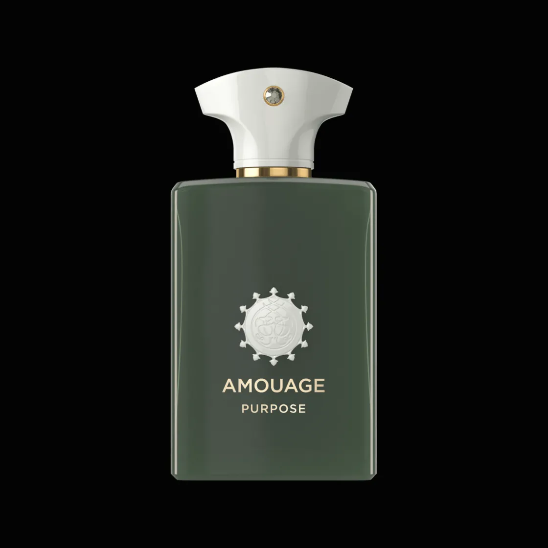 Amouage Purpose Man Eau de Parfum 100ml Outlet