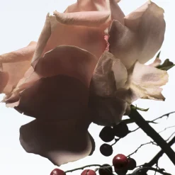 Dries Van Noten Raving Rose Eau de Parfum Refill 200ml Online