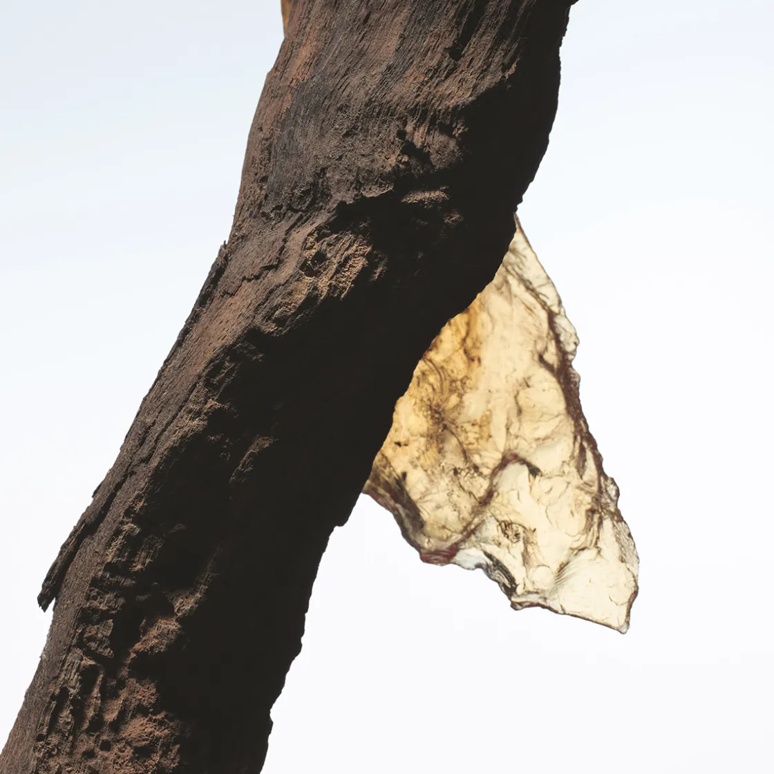 Dries Van Noten Rock The Myrrh Eau de Parfum Refill 200ml New