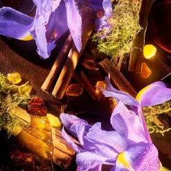 ROJA London ROJA Haute Luxe Parfum 100ml Clearance