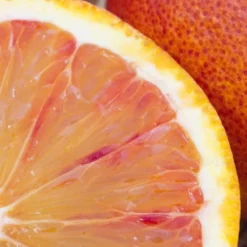 Maison Crivelli Rose Saltifolia Eau de Parfum 100ml Clearance