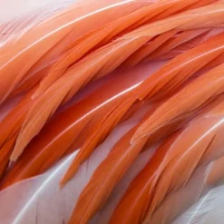 Maison Crivelli Rose Saltifolia Eau de Parfum 100ml Clearance