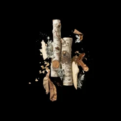 Corpus Santalum 75gr Best