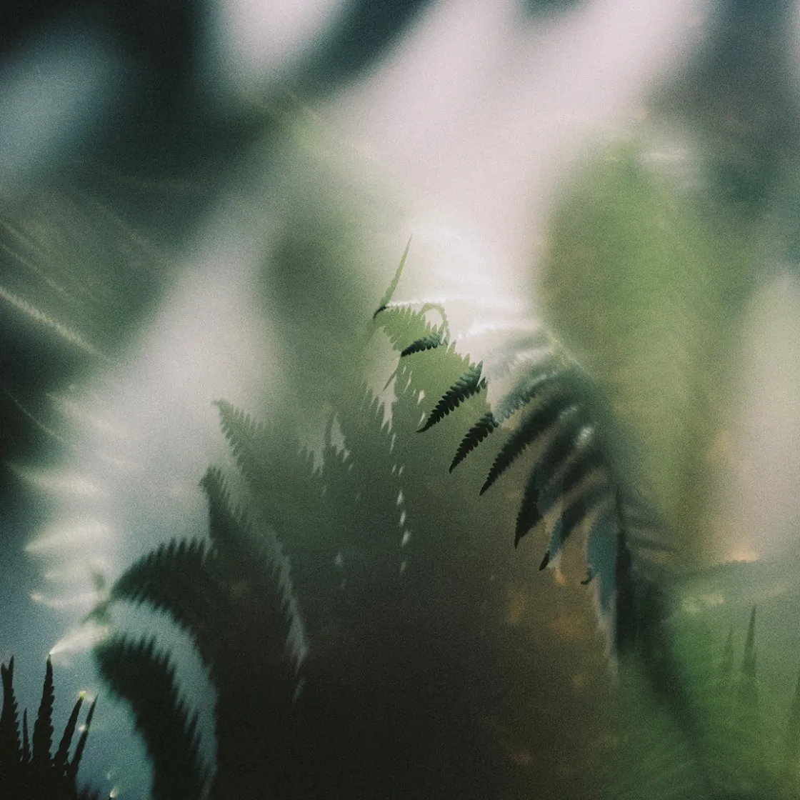 Perfumer H Steam Eau de Parfum Refill 100ml Online