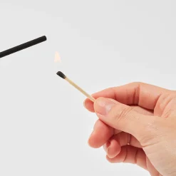 Nippon Kodo Suou Elemense Incense - Wood New