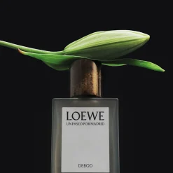 LOEWE Templo De Debod Eau de Parfum 100ml Online