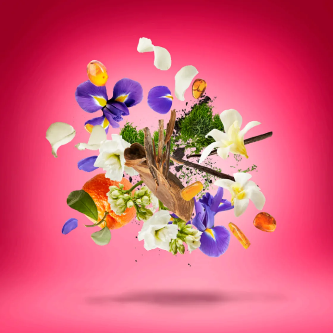 Xerjoff Vibe Coro Eau de Parfum 100ml Best